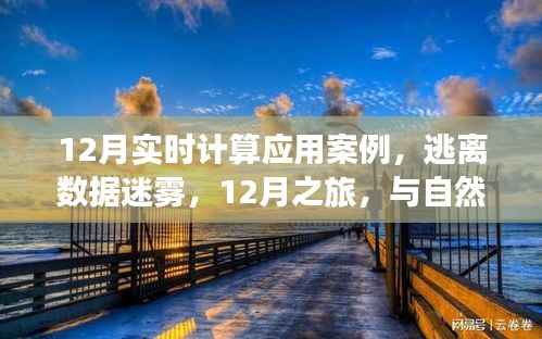 12月實時計算應用案例，數據迷霧中的逃離之旅與自然美景的實時對話