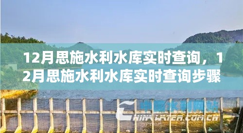 12月思施水利水庫實時查詢系統使用指南