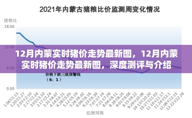 深度解讀，最新12月內蒙古實時豬價走勢圖及行情預測