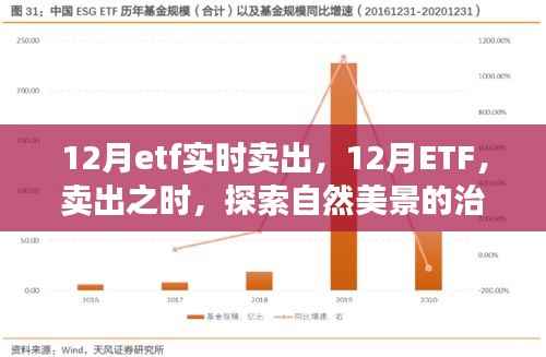 12月ETF實時賣出，探索自然美景的治愈之旅