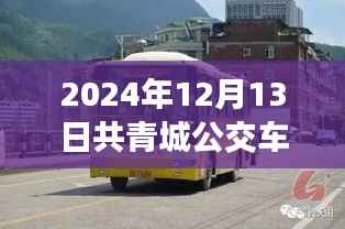 2024年共青城公交車實時查詢指南，輕松出行，無憂旅途