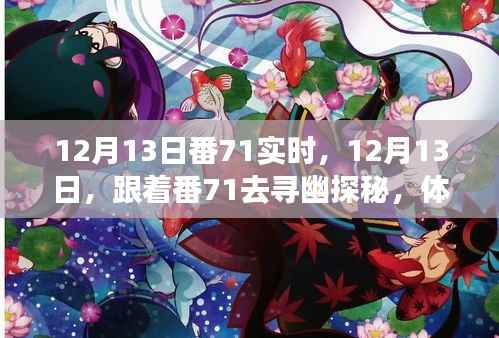 跟著番71探秘自然之美，體驗寧靜與內心覺醒的旅程，12月13日番71實時啟程