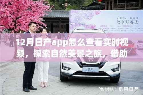 日產App冬季實時視頻指南，探索自然美景，心靈與實景交融之旅