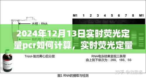 實時熒光定量PCR技術(shù)操作指南與最新計算方法解析（適用于2024年）