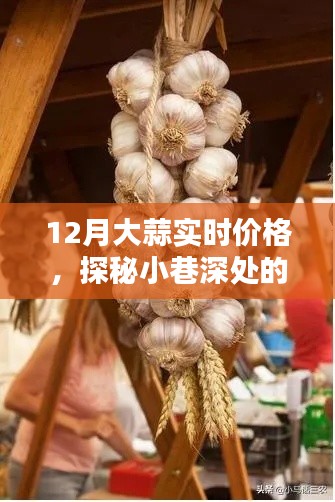 探秘小巷深處的蒜香樂園，揭秘大蒜實時價格走勢，洞悉市場變化
