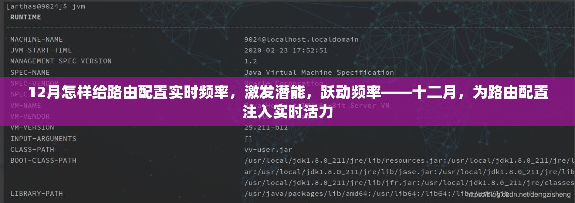 十二月路由配置實時優化，激發潛能，躍動頻率，注入實時活力