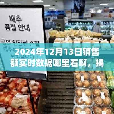 揭秘2024年銷售額實(shí)時(shí)數(shù)據(jù)獲取渠道，掌握商業(yè)脈搏的必備指南