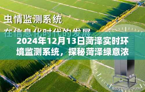 探秘菏澤綠意濃時，實時環境監測系統邀您共賞自然之美
