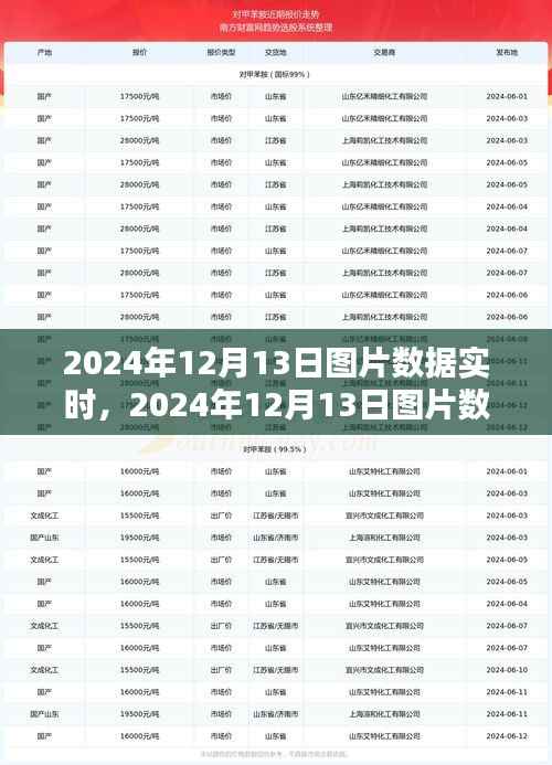 2024年12月13日圖片數(shù)據(jù)實(shí)時(shí)獲取與處理步驟指南，從初學(xué)者到進(jìn)階用戶的全面指南