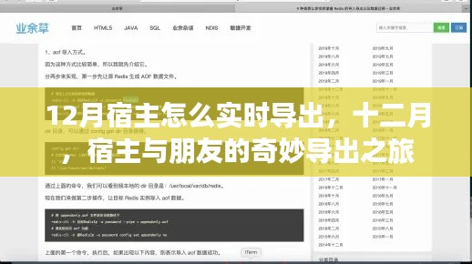 十二月宿主與朋友的奇妙導(dǎo)出之旅，實(shí)時(shí)操作指南