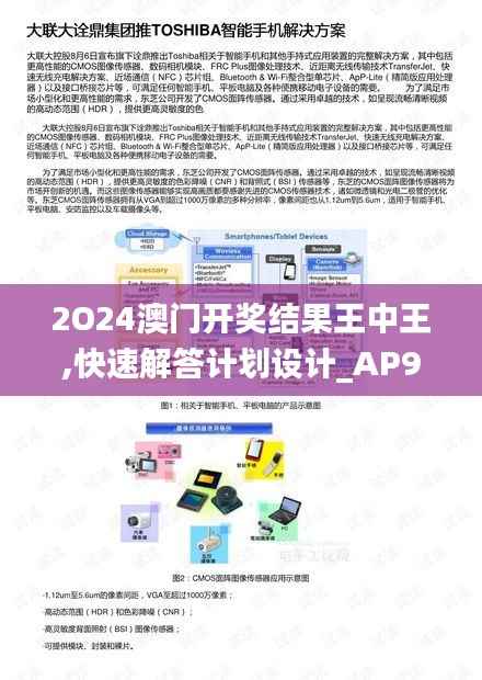 2O24澳門開獎結果王中王,快速解答計劃設計_AP9.909