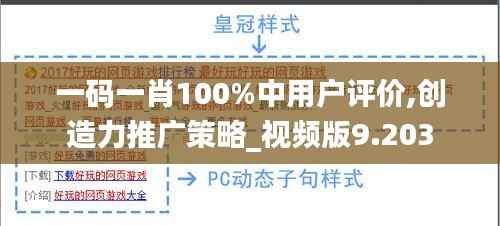 一碼一肖100%中用戶評價,創(chuàng)造力推廣策略_視頻版9.203