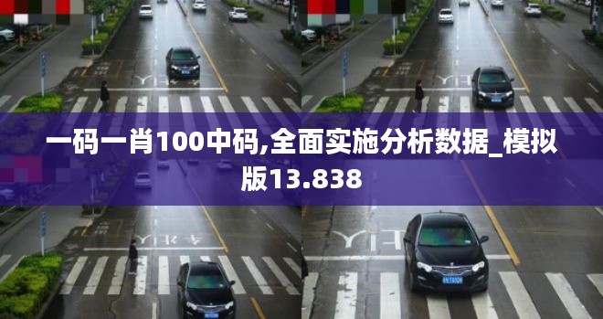 一碼一肖100中碼,全面實(shí)施分析數(shù)據(jù)_模擬版13.838