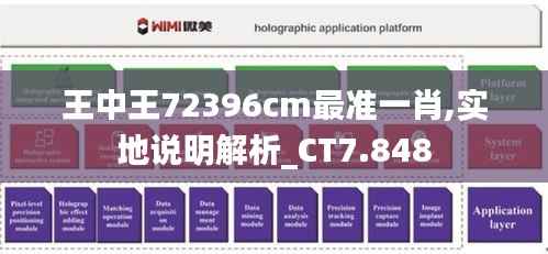 王中王72396cm最準(zhǔn)一肖,實(shí)地說明解析_CT7.848