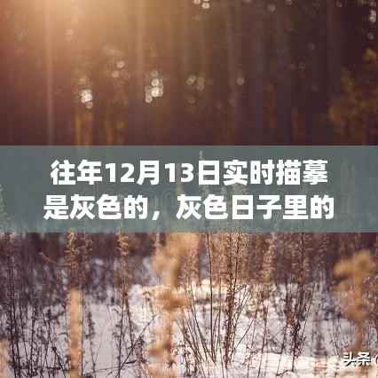 灰色日子里的彩色溫情，一場意外的冬日奇遇紀實