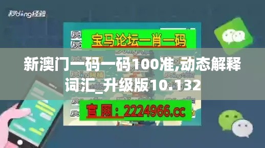 新澳門一碼一碼100準(zhǔn),動態(tài)解釋詞匯_升級版10.132