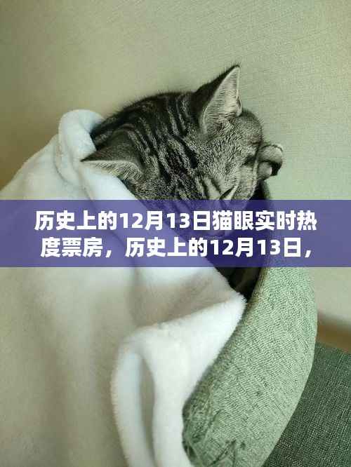 深度解析，歷史上的12月13日貓眼實時熱度票房數據回顧