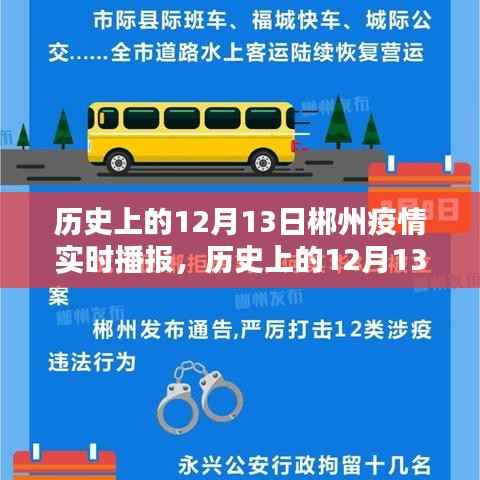 歷史上的12月13日郴州疫情深度分析與實(shí)時(shí)播報(bào)