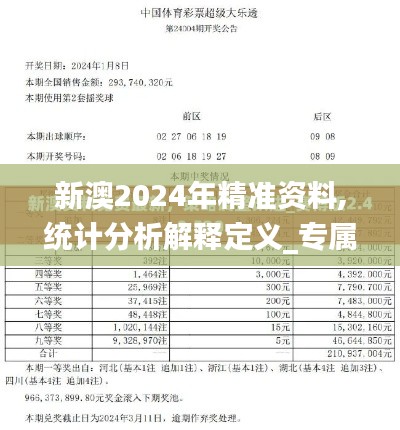 新澳2024年精準資料,統計分析解釋定義_專屬款12.303