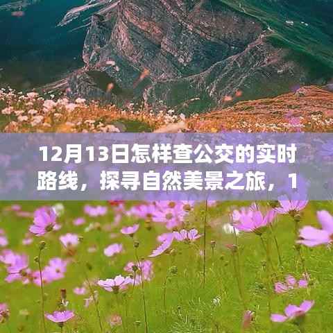 12月13日探尋自然美景之旅，公交實(shí)時(shí)路線開啟心靈之旅的啟程點(diǎn)