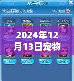 超越時空守護，寵物精準定位軟件引領勵志新時代（2024年12月13日）