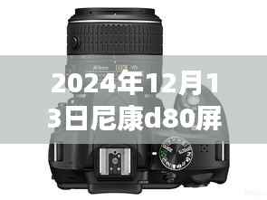 尼康D80相機屏幕實時預覽功能詳解與技術指南，前沿技術與操作指南（2024年12月版）