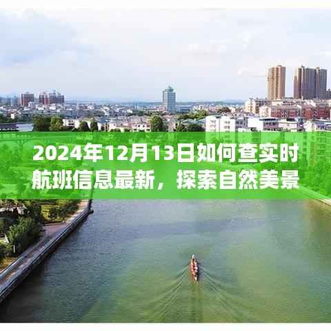 探索自然美景之旅，最新實時航班信息與內心寧靜之旅的啟程日，2024年12月13日
