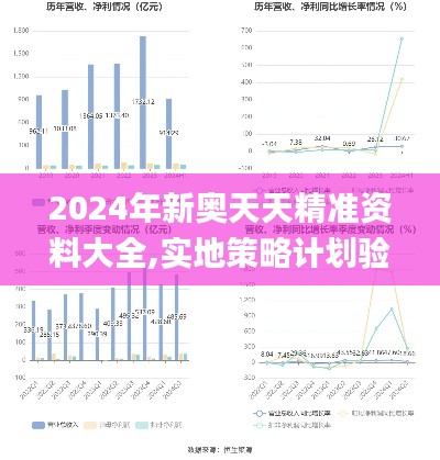2024年新奧天天精準資料大全,實地策略計劃驗證_soft9.419