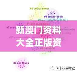 新澳門資料大全正版資料？奧利奧,適用性方案解析_GT3.771