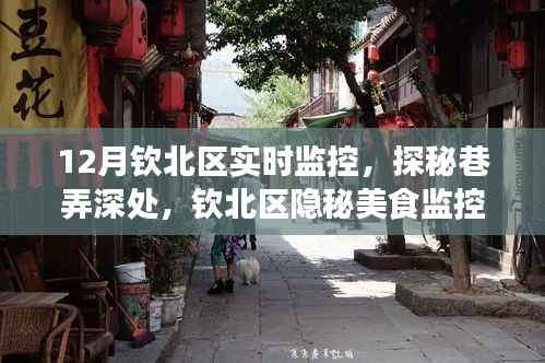 欽北區(qū)隱秘美食之旅，巷弄深處的實時監(jiān)控探秘小吃店之旅