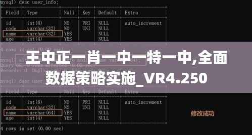 王中正一肖一中一特一中,全面數據策略實施_VR4.250