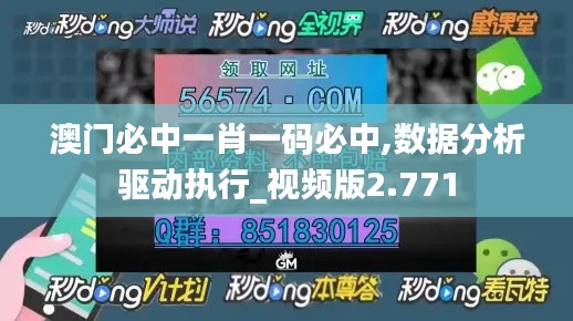 澳門必中一肖一碼必中,數據分析驅動執行_視頻版2.771