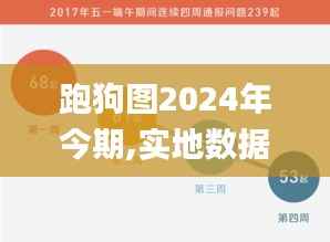 跑狗圖2024年今期,實地數據評估執行_交互版1.608