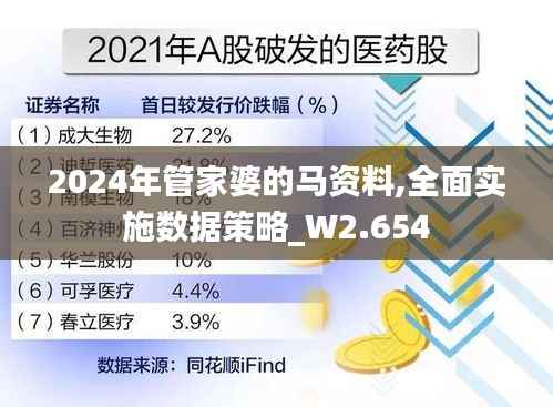 2024年管家婆的馬資料,全面實施數據策略_W2.654