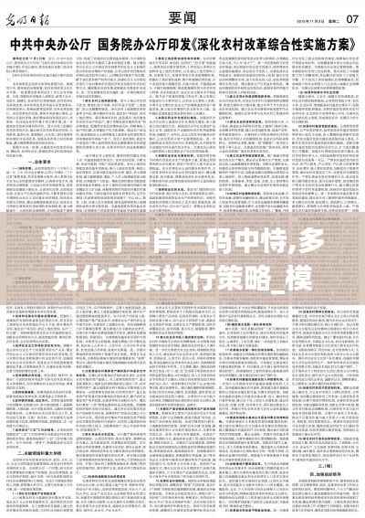 新澳門(mén)一肖一碼中恃,多元化方案執(zhí)行策略_模擬版17.491