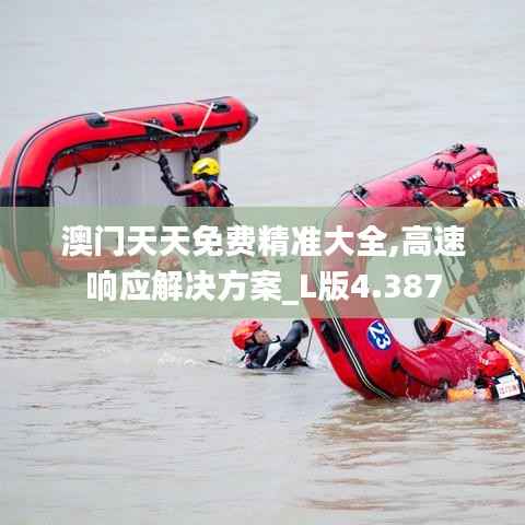 澳門天天免費精準大全,高速響應解決方案_L版4.387