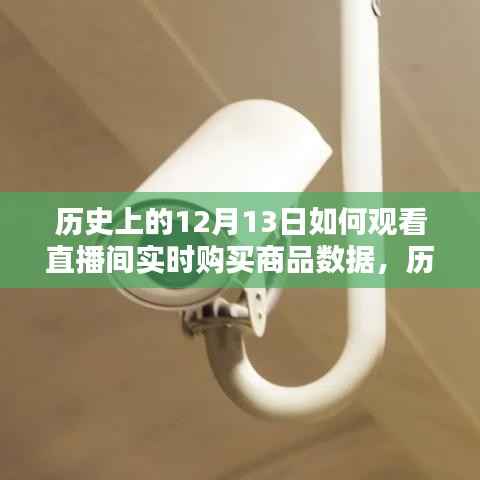 歷史上的12月13日直播間實時購買商品數據解析與體驗評測