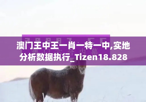 澳門王中王一肖一特一中,實地分析數據執行_Tizen18.828