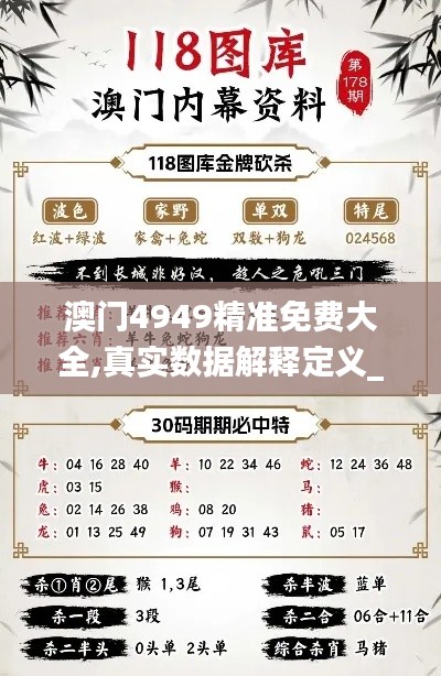 澳門4949精準免費大全,真實數據解釋定義_經典款6.204