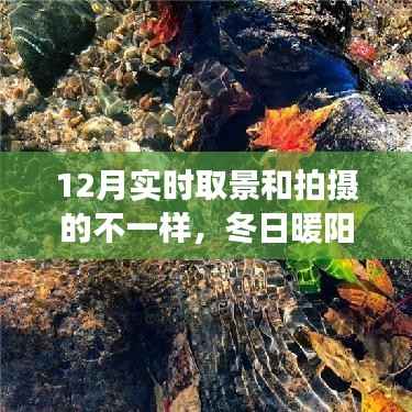 冬日暖陽魔法時刻，與朋友共度的溫馨拍攝之旅