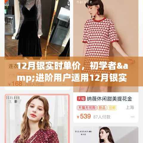 12月銀實時單價查詢與監控指南，適合初學者與進階用戶的步驟指南