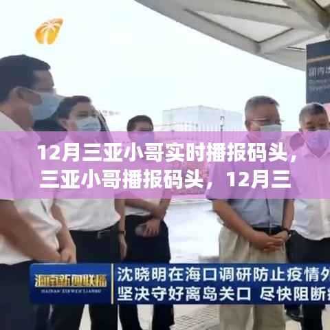 12月三亞港口實時資訊播報與深度評測，小哥帶你直擊碼頭動態