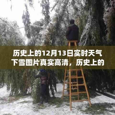 歷史上的12月13日實時下雪高清圖片，展現冬季雪景的迷人魅力