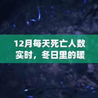 冬日暖心故事，實時關注12月每日死亡人數，陪伴時光，溫暖不再孤獨