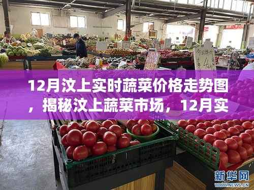 揭秘汶上蔬菜市場，12月實時蔬菜價格走勢深度解析及趨勢預測