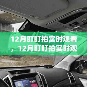 體驗智能監控的魅力，12月盯盯拍實時觀看