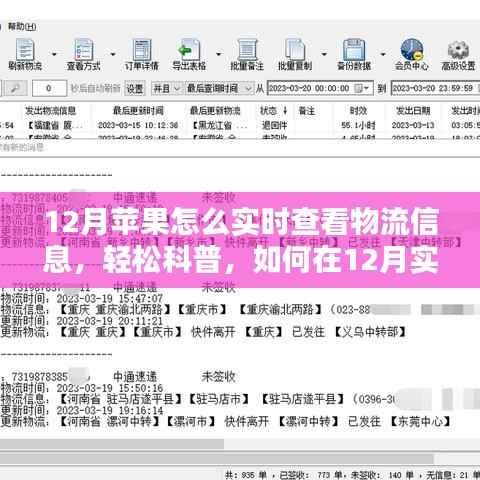 12月蘋(píng)果產(chǎn)品物流實(shí)時(shí)跟蹤指南，輕松科普如何查看物流信息