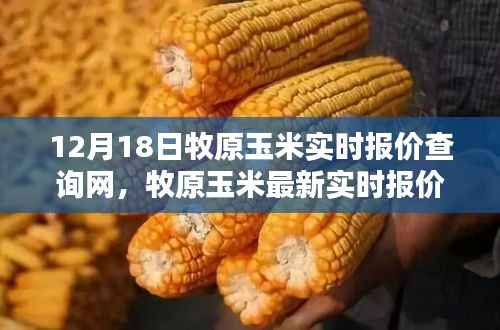 12月18日牧原玉米實(shí)時(shí)報(bào)價(jià)在線查詢指南