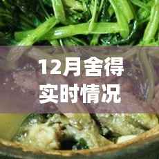 探秘巷弄深處的舍得驚喜，一家隱藏小巷中的特色小店揭秘的十二月故事