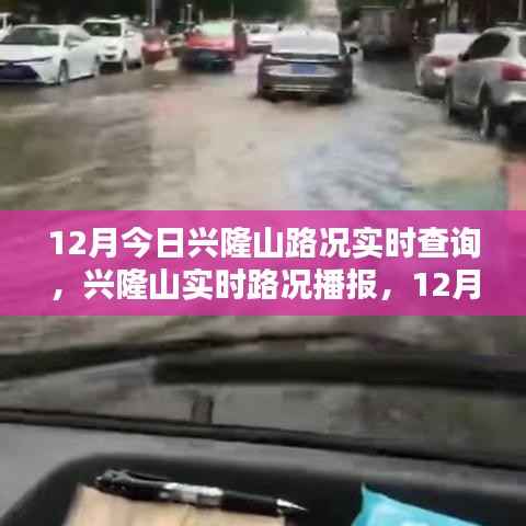 興隆山路況實時播報，掌握12月今日路況一手資訊